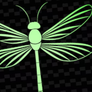 Dragonfly Wellness Center logo