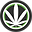 Ecocann logo