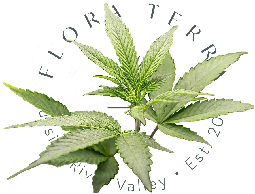 SONOMA CHO LLC