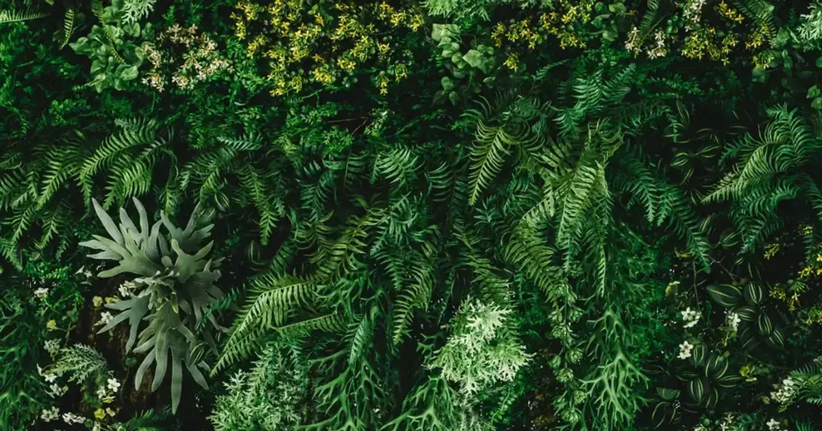 Garden of Eden