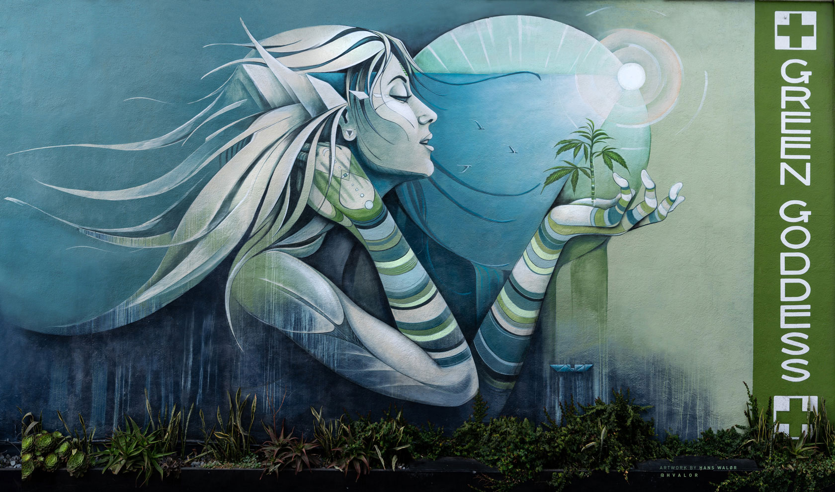 Green Goddess Collective