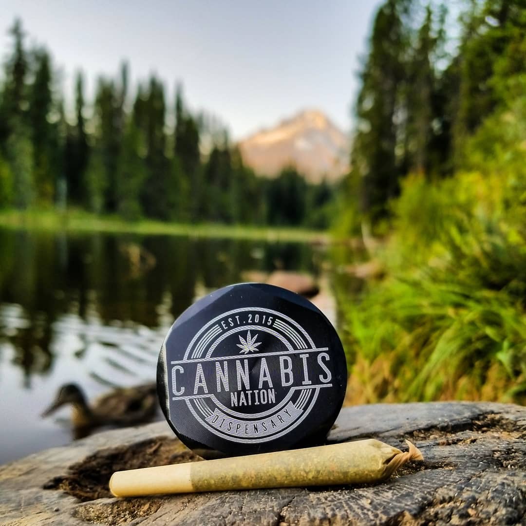 Cannabis Nation Gresham logo