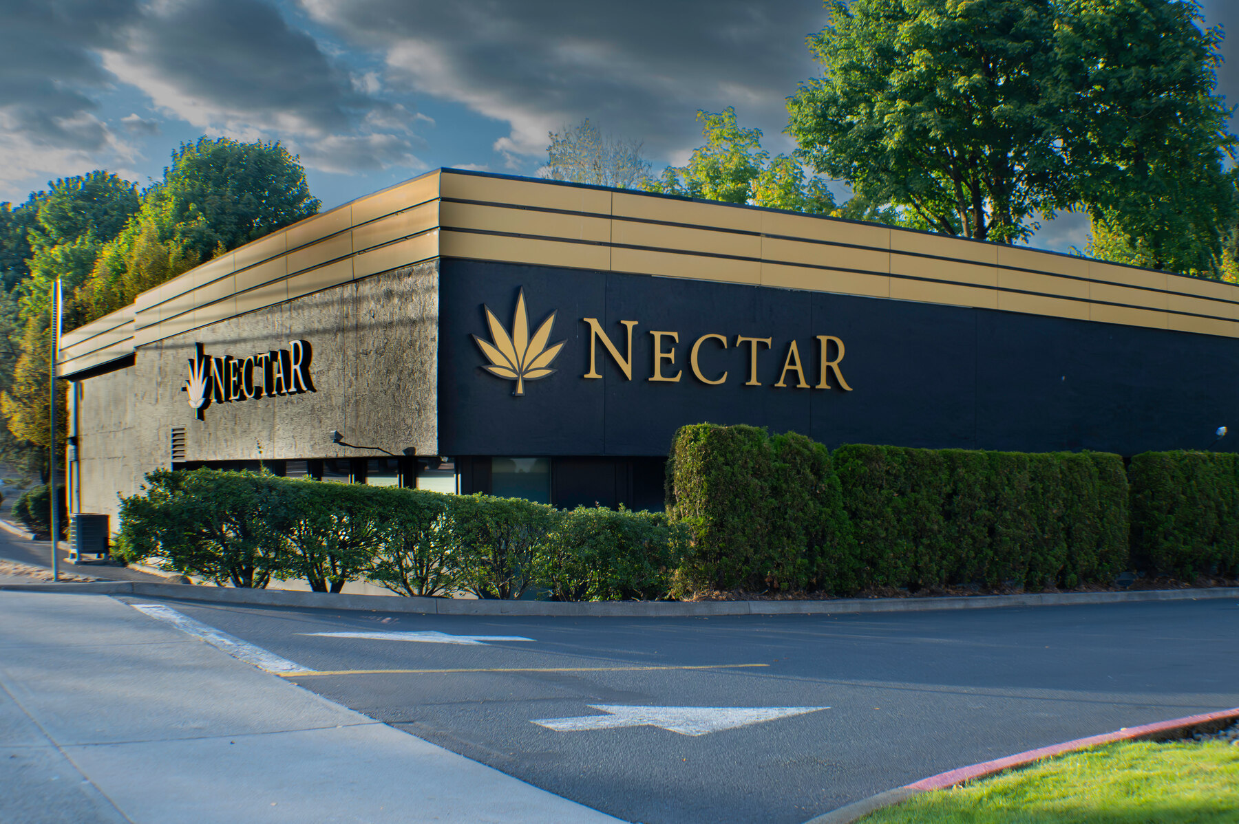 Nectar logo
