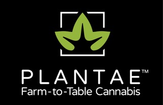 Plantae logo