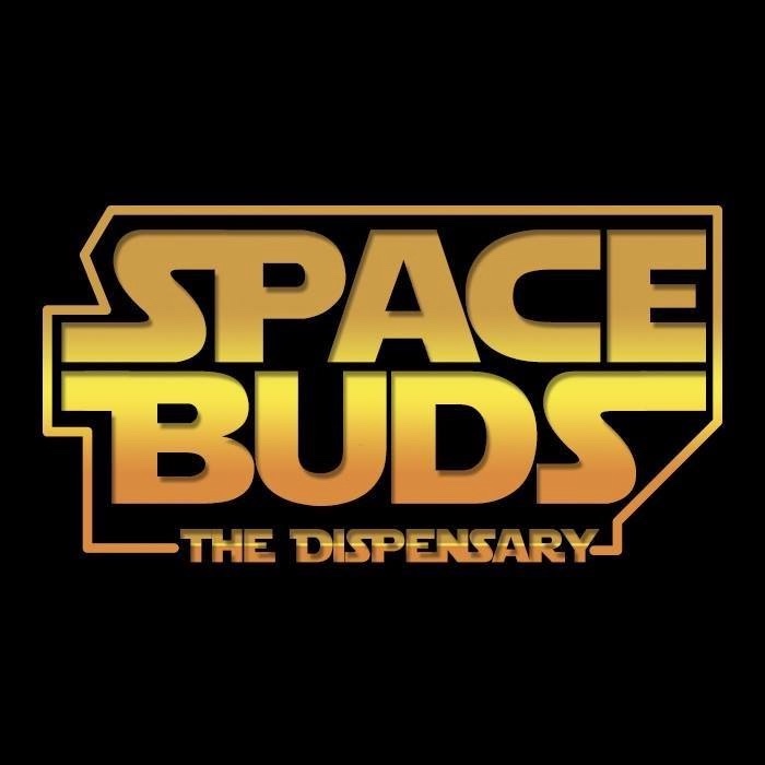 SpaceBuds logo