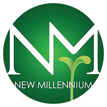 Solutions of the Millennium LLC logo