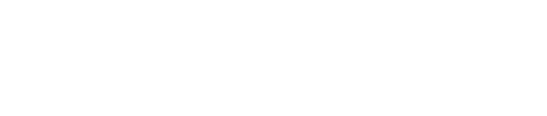 The New Amsterdam logo