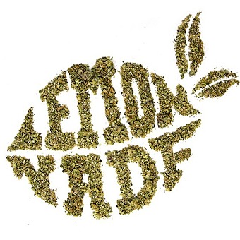 Lemonnade logo
