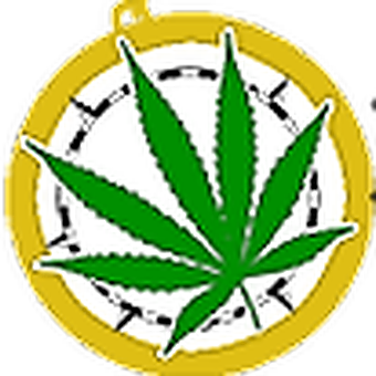 Discovery Cannabis logo