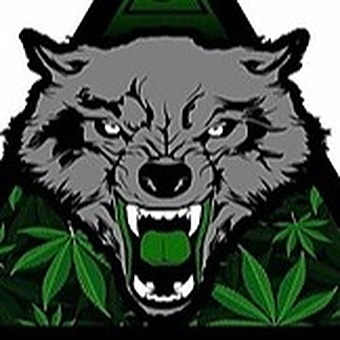 BLOOMINATI CANNABIS CORP. logo