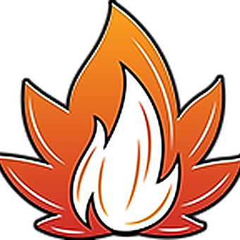 FYRE logo
