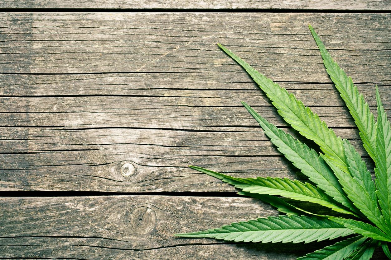 Coastal Craft Cannabis logo