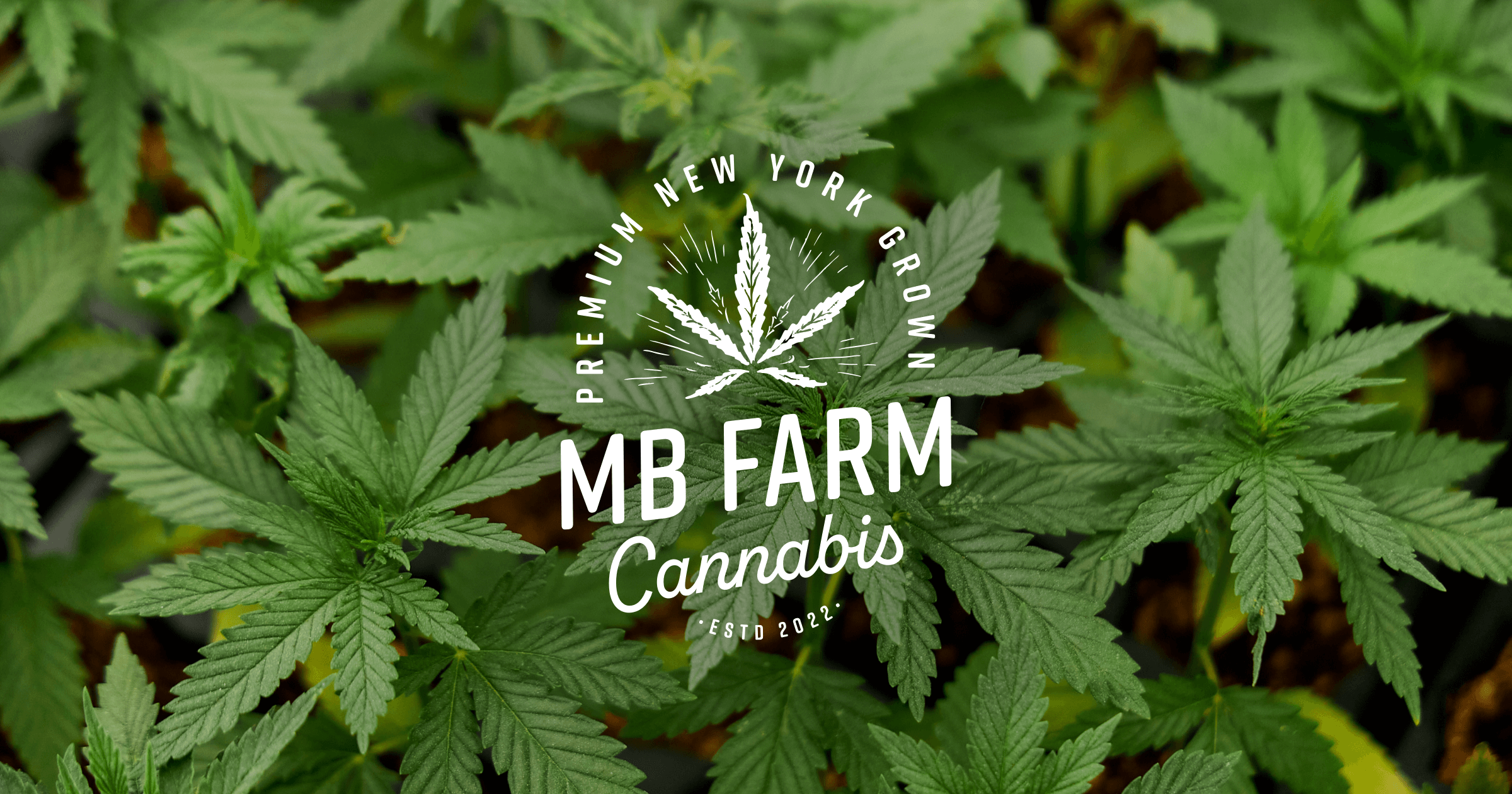 Misty Bleu Farm, LLC logo