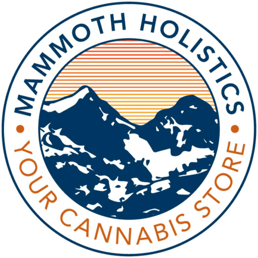 TD MAMMOTH, INC. logo