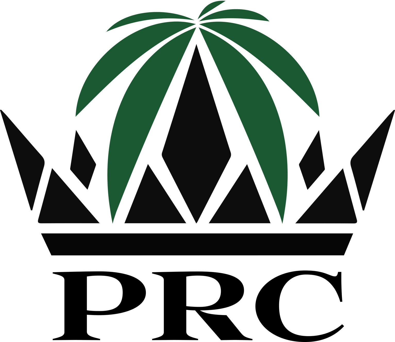 Palm Royale Collective Too