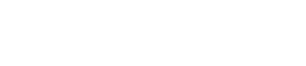 FRESH SELECTION, INC. logo