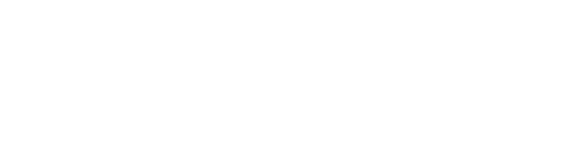 The Chronic [Equity Retailer] logo